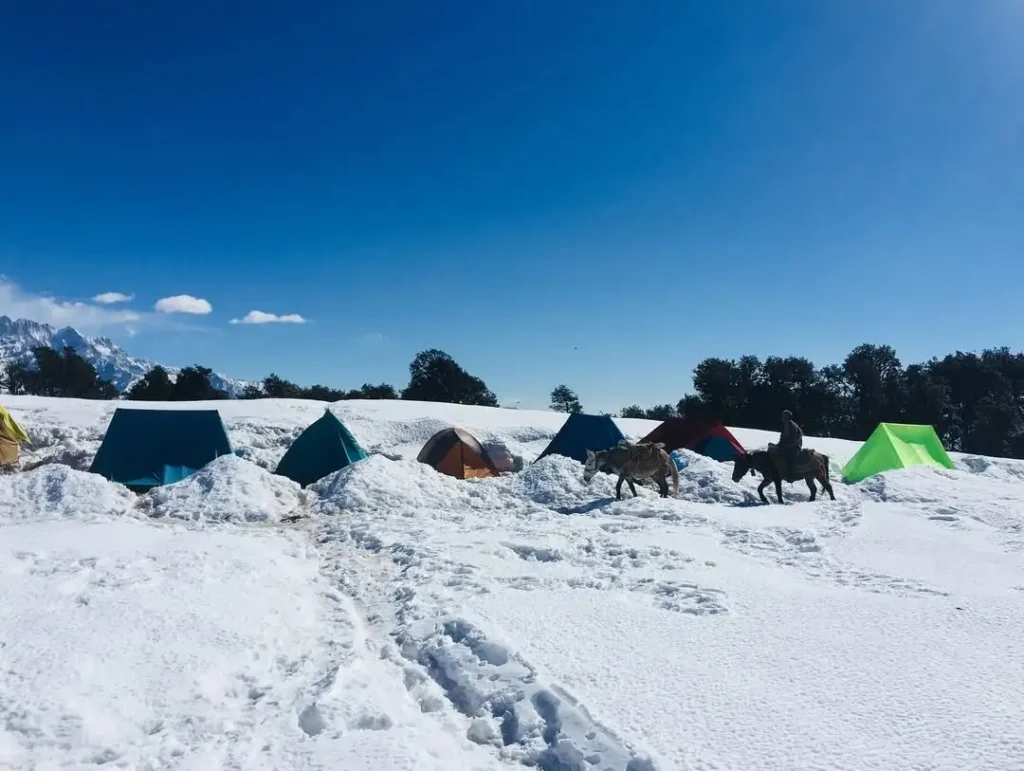 Brahmatal Trek Package