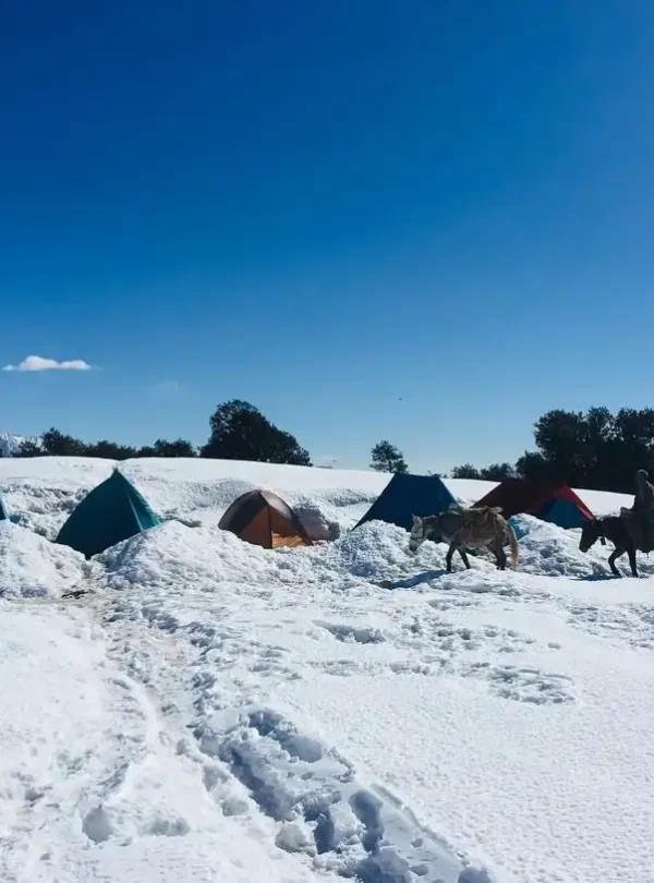 Brahmatal Trek Package