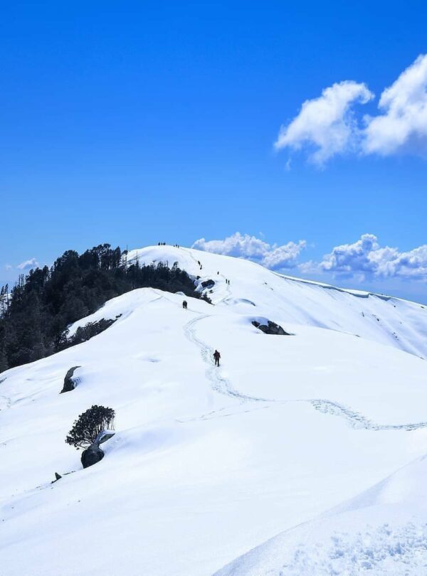 Brahmatal Trek Package