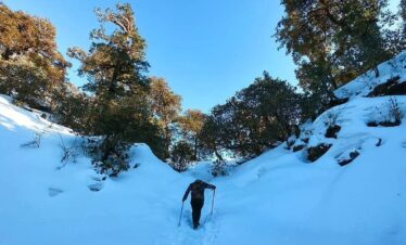 Brahmatal Trek Package