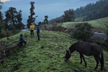 Dayara Bugyal Trek Package