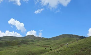 Dayara Bugyal Trek Package