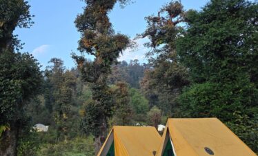 Dayara Bugyal Trek Package